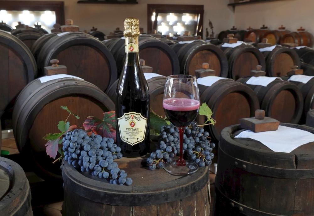 PNT1000: Lambrusco Grasparossa Di Castelvetro DOP - 1