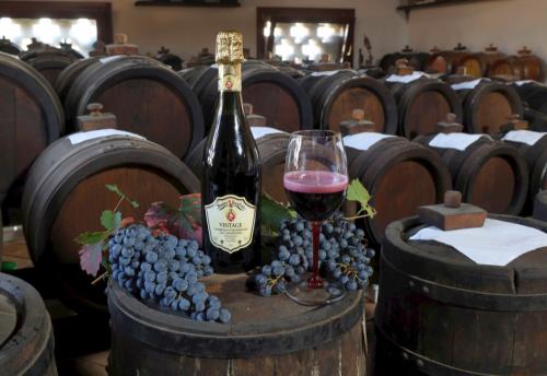 PNT1000: Lambrusco Grasparossa Di Castelvetro DOP